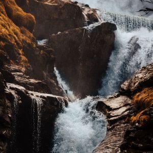 "NORWEGIAN SOURCE"