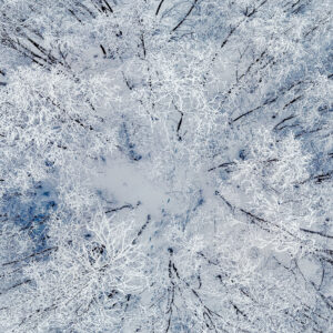 "WINTER WONDERLAND"