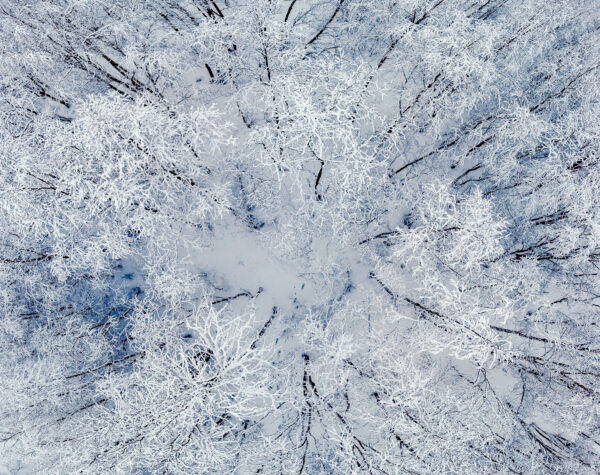 "WINTER WONDERLAND"