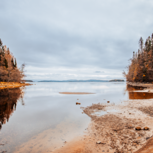 "SWEDEN FALL"