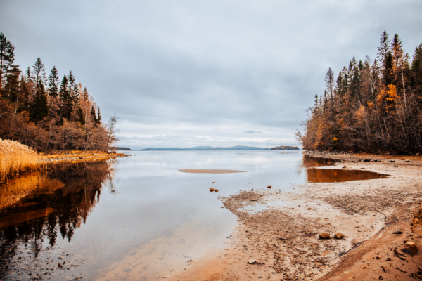 "SWEDEN FALL"