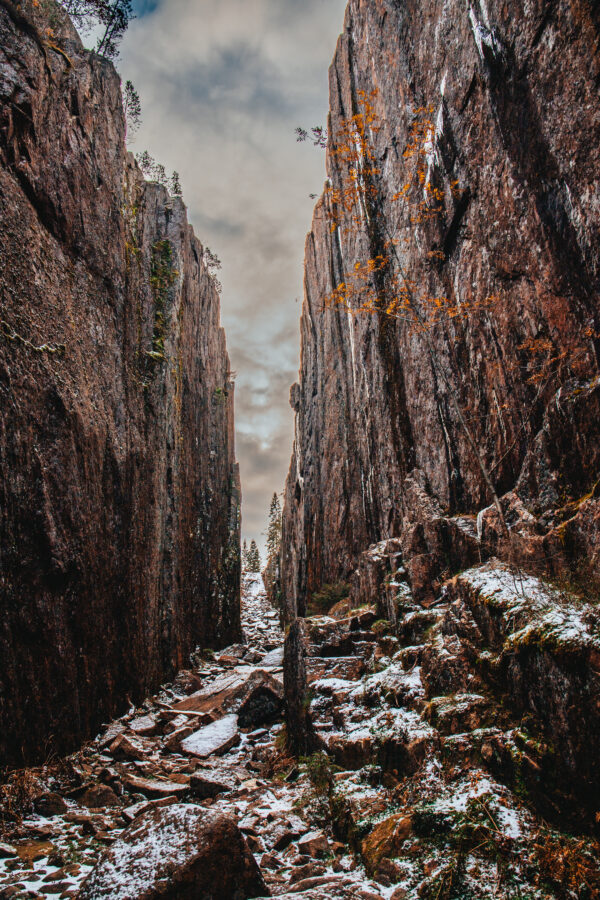 "CANYON SKULESKOGEN"